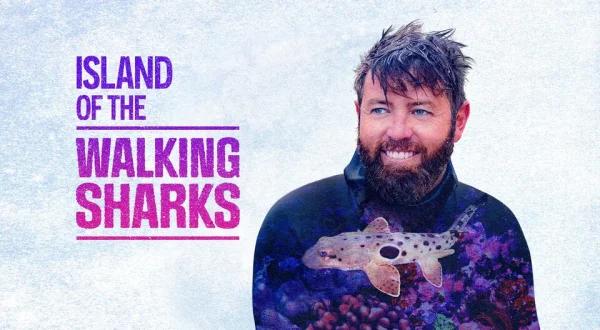 Island of the Walking Sharks