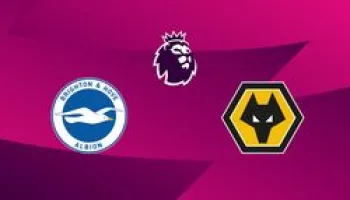 Brighton & Hove Albion / Wolverhampton
