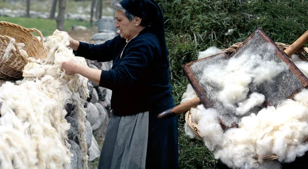 Los viticultores. El esfuerzo real detrás del vino artesanal: 1 año de elaboración y duro trabajo