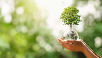 The Climate Question