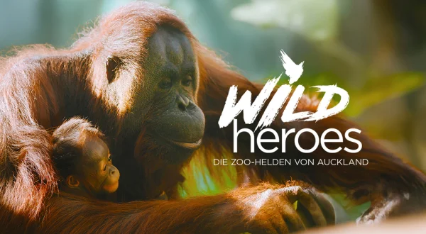 Wild Heroes: Die Zoo-Helden von Auckland