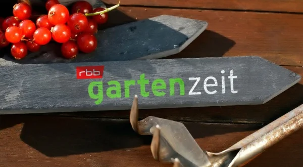 rbb Gartenzeit