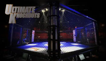UFC Ultimate Knockouts
