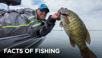Facts of Fishing