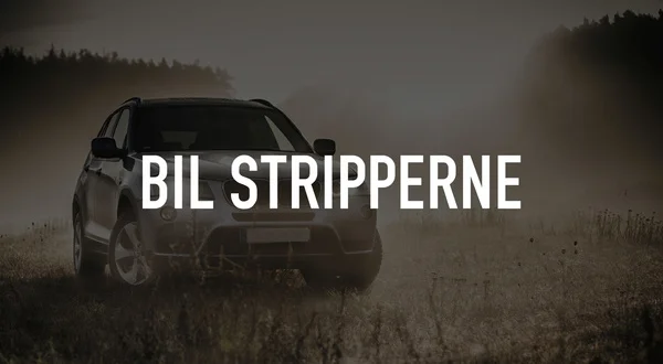 Bil stripperne