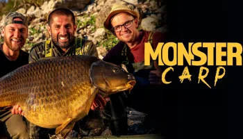 Monster Carp
