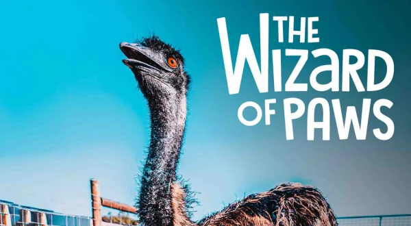The Wizard of Paws
