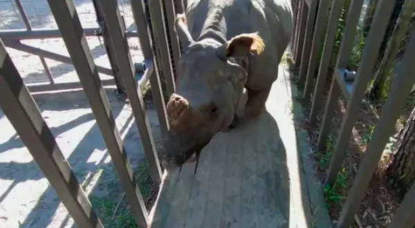 Au coeur du zoo : Tampa