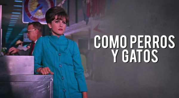Como perros y gatos