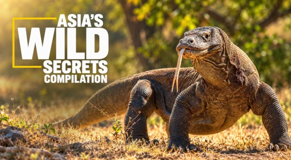 Asia's Wild Secrets