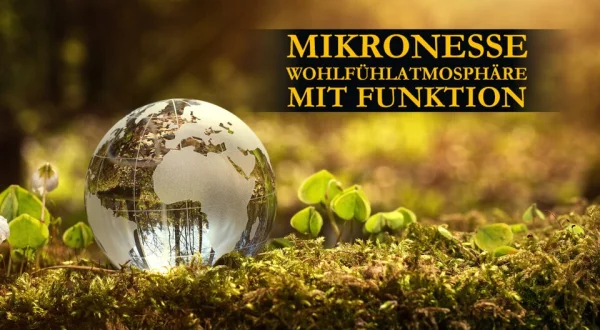 Mikronesse Wohlfühlatmosphäre mit Funktion