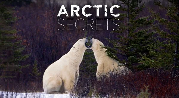 Arctic Secrets