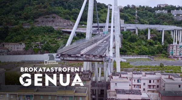 Brokatastrofen i Genua