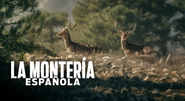 La montería española