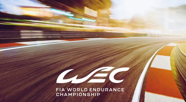 FIA Endurance VM