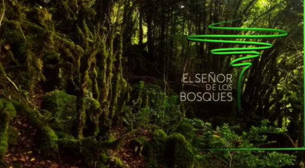 El señor de los bosques