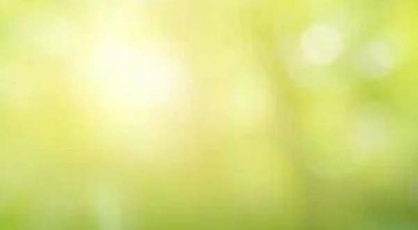 Işığın Kaynağı