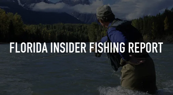 Florida Insider Fishing Report