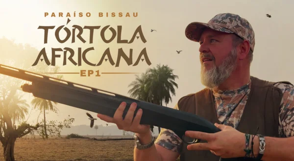 Paraíso bissau tórtola africana