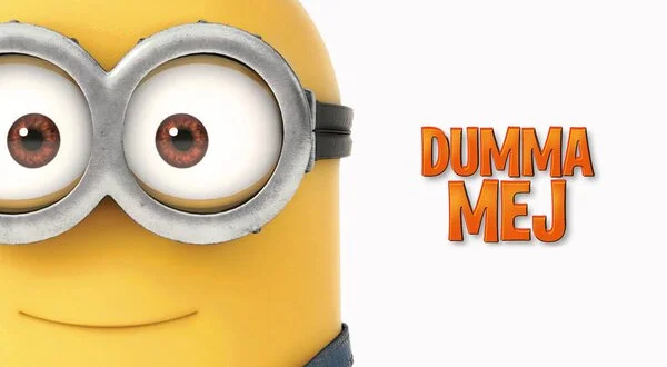 Dumma mej