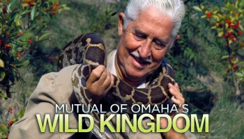Mutual of Omaha's Wild Kingdom