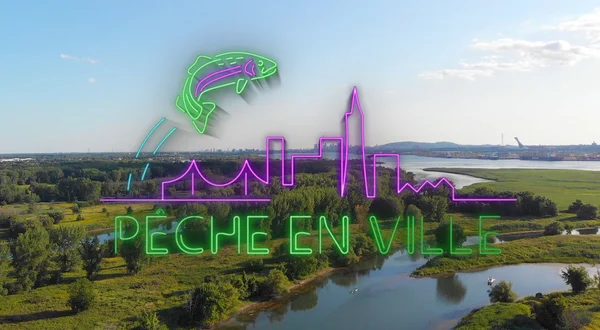 Pêche en ville