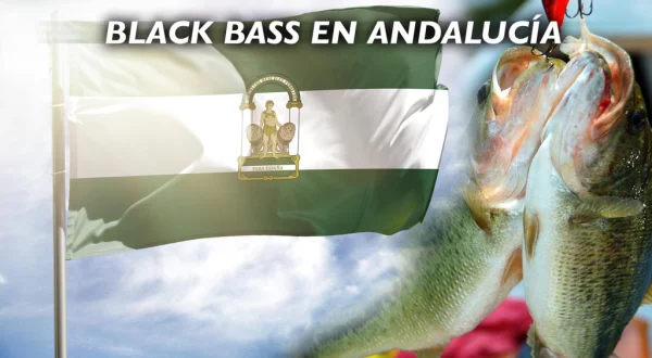 Black Bass en Andalucía