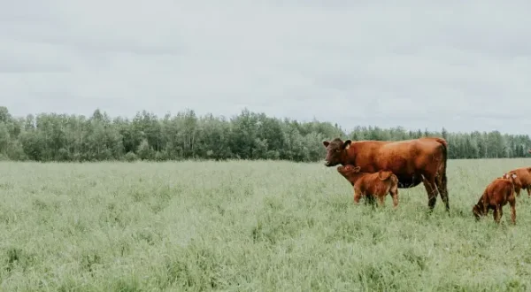 El campo es nuestro. Fin de semana