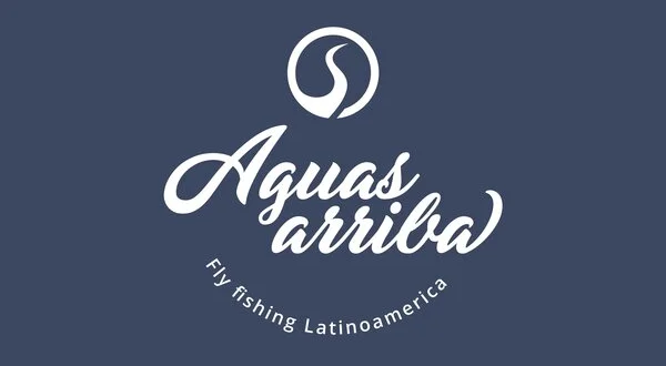 Aguas arriba