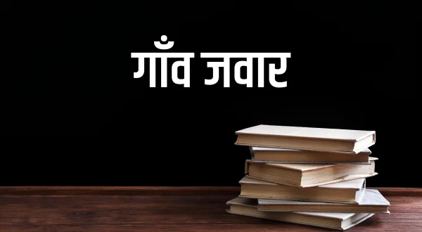 गाँव जवार