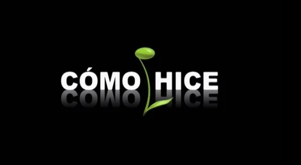 Cómo hice