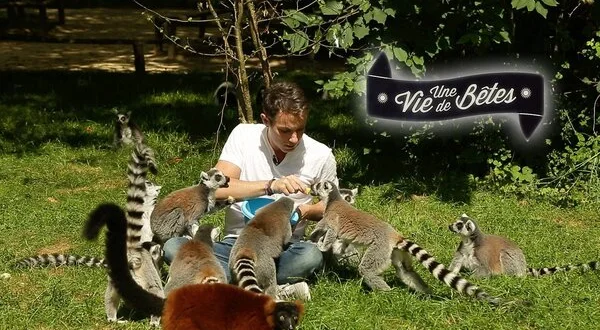 Une vie de bêtes