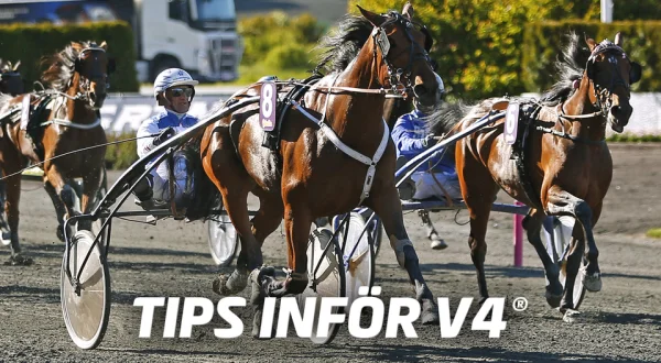 Tips inför V4
