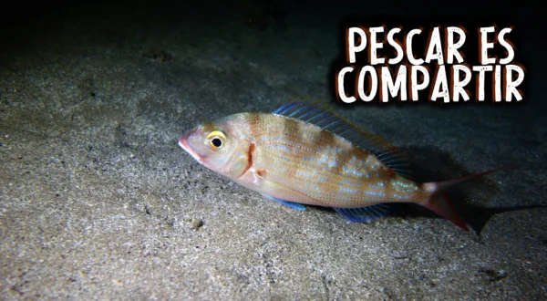 Pescar Es Compartir