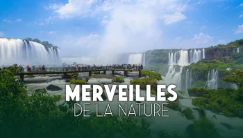 Merveilles de la nature *2021
