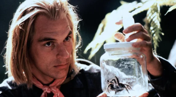 Arachnophobia – Acht Beine, zwei Fänge und ...