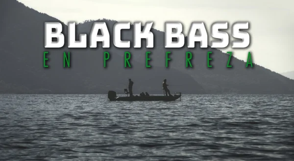 Blackbass en prefreza