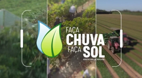 Faça Chuva Faça Sol