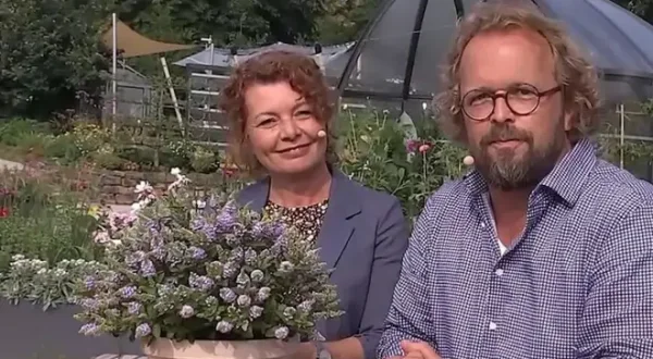 MDR Garten