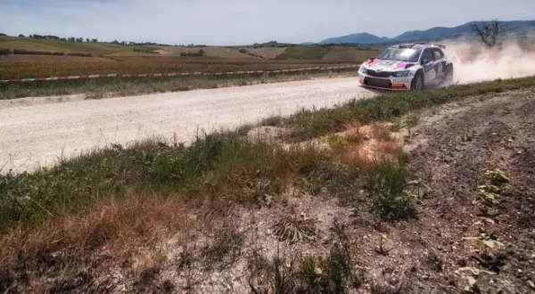 Rally Highlights