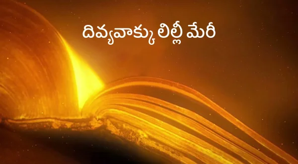 దివ్యవాక్కు లిల్లీ మేరీ