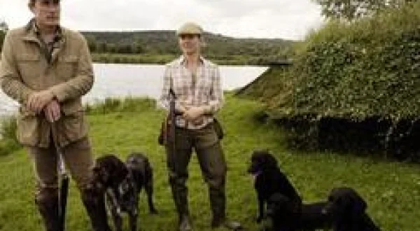 Les retrievers de A à Z