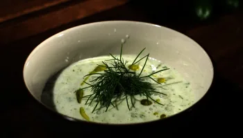 Kräutergarten: Dill