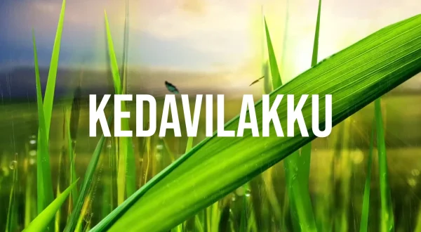 Kedavilakku