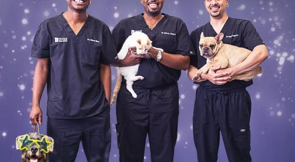 The Vet Life