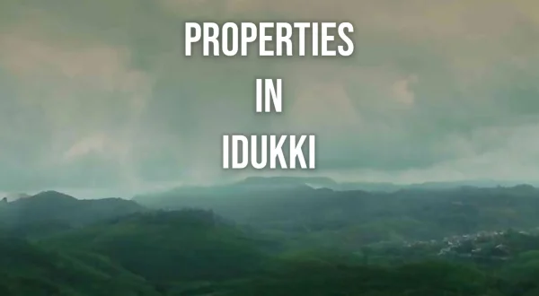 Properties In Idukki