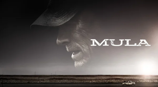 Mula