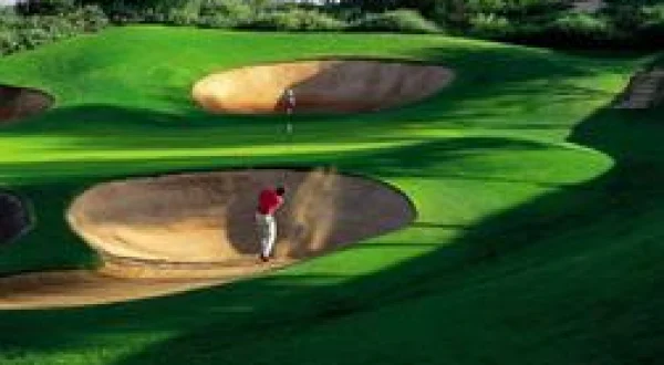 Golf : PGA Tour Champions