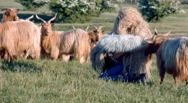 Der Tierstimmensammler oder Das Lied der Scheuen Stockente