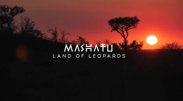 Mashatu: Land of Leopards